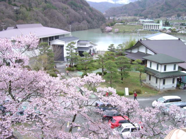 高遠の春(長野県伊那市高遠町)