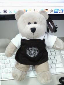 bear