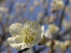 PICT0123.JPG