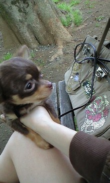 080429_1316~0001.jpg