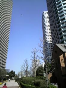 OKDELUX　　　　　　　　　　　　　　　　　　　　　　　　　　　　～東京タワーのふもとで働くSkateBoarder社長のブログ-SUNNY