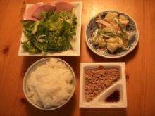 にゃーのダイエット日記