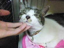 ぬーん
