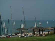 race5