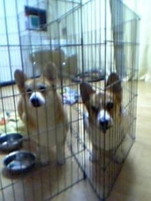 20060301