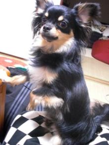 1歳+2ヶ月+1日10