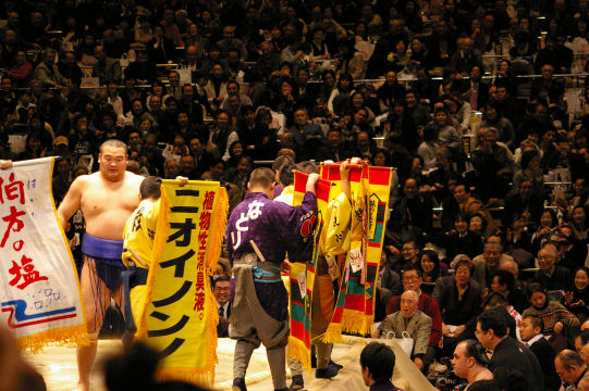 sumo7