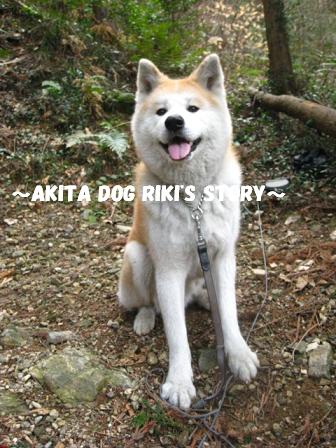 秋田犬　リキの物語