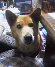 なに食べてるの？