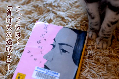 バンビ&ヒメ