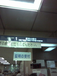 20080711165401.jpg