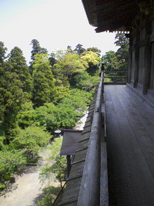 070505_1147~01.jpg