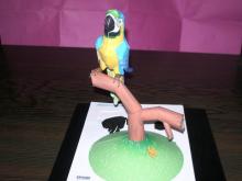 EPSON　Blue Parrot Papermodel