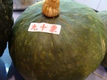 九十栗