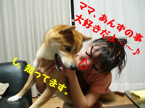 知ってる
