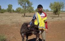 donkey