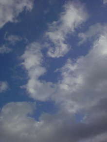 20081105135837.jpg