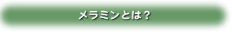 メラミンとは？