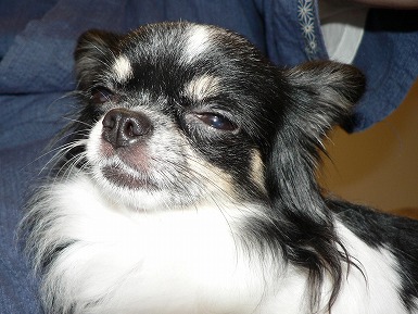 ブログのタイトルが思いつきません|∀ﾟ)-すえぞう