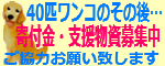 命に幸せを-40匹ワンコ支援バナー