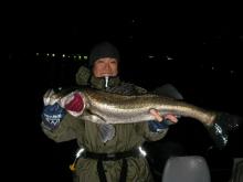 seabass-advantage under