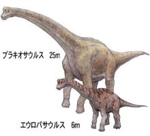 エウロパサウルスとブラキオサウルス