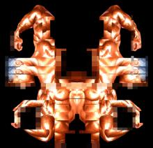 body6