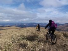 MTB