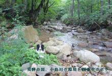 飛騨小鳥川にて