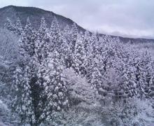 200512240753001.jpg