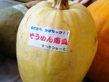 そうめんカボチャ