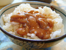 塩辛