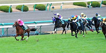美しく生きるはイバラの道-鳴尾記念 サクラメガワンダー号 優勝