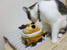 ふむふむ・・・トナカイさんですか・・