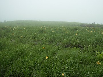 basuthua0707j17z