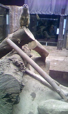 080827_154143.JPG