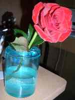 君に薔薇薔薇