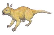 エカルタデタ