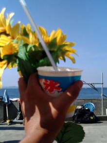 20080717151210.jpg