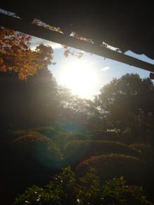 kyoto4