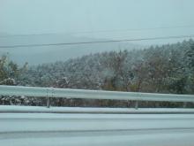 Fresh field　宮崎