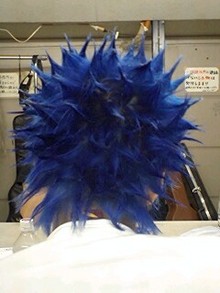 070701_1937~0001.jpg
