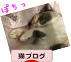 ブログ村へ