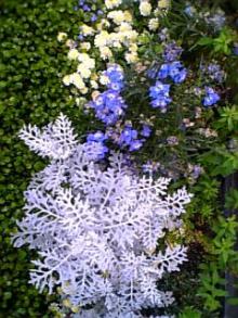 花２