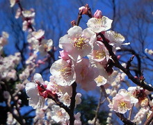 200803091416002.jpg