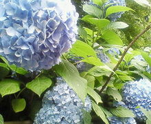 200706261330000.jpg