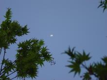 f05