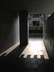 露草―――・・・　　(ﾂﾕｸｻ)-Image397.jpg