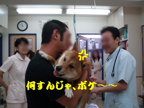 何すんじゃ