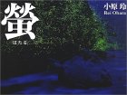 蛍―light of a firefly